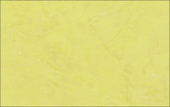 Венецианская штукатурка «Ферри» (Effet de Chaux Ferree), оттенок Citron MC 0510 G 70 Y
